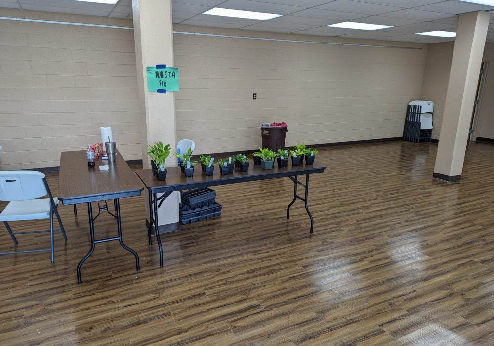 15 plants left for sale at 12:30 pm